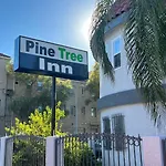 Pine Tree Inn